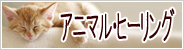 ¥Ð¥Ê¡¼ ¥Ð¥Ê¡¼