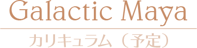 「Galactic Maya」カリキュラム(予定)