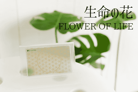 ̿β/FLOWER OF LIFE 
