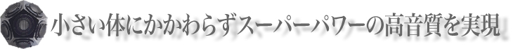 小さい体にかかわらずスーパーパワーの高音質を実現