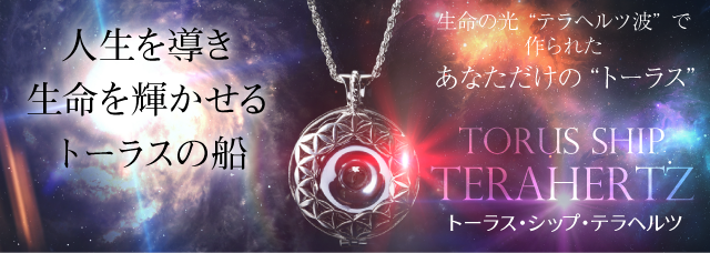 トーラス 曼荼羅 ゼロ磁場 宇宙アート 開運 開運絵画 topmedical.com.co