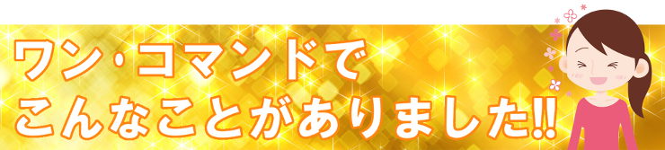 ワン・コマンドで、こんなことがありました!!