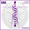 DNA活性化CD2