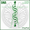 DNA活性化CD3