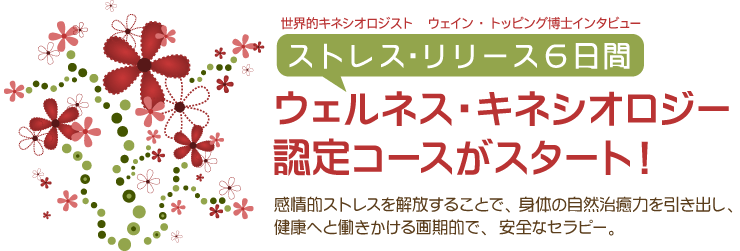 ウェイン・トッピングPhD ストレスリリース 1&2 セミナーテキスト ウェイン・トッピングPhD ストレスリリース 1&2 セミナー