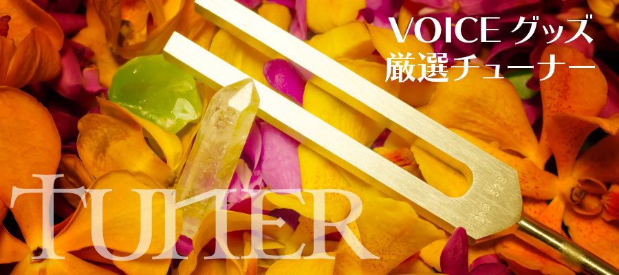 【TUNER】VOICEグッズ厳選チューナー