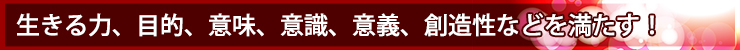 生きる力、目的、意味、意識、意義、創造性などを満たす!