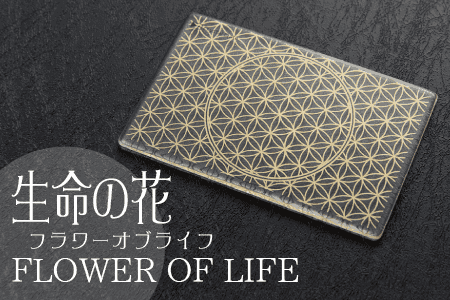 ̿β/ FLOWER OF LIFE ʥե֥饤ա