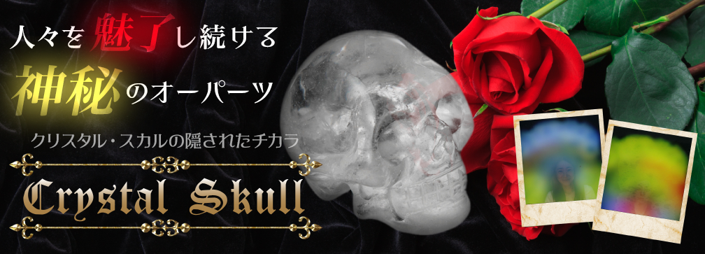 人々を魅了し続ける神秘のオーパーツ『クリスタル・スカルの隠されたチカラ』【Cristal Skull