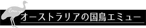 オーストラリアの国鳥エミュー