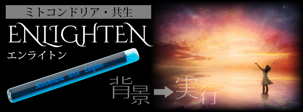 ミトコンドリア・共生http://www.voice-inc.co.jp/files/genre4/enlighten【エンライトン】背景⇒実行