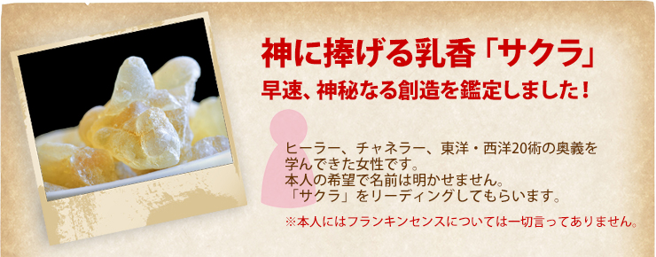 神に捧げる乳香「サクラ」早速、神秘なる創造を鑑定しました! ヒーラー、チャネラー、東洋・西洋20術の奥義を学んできた女性です。本人の希望で名前は明かせません。「サクラ」をリーディングしてもらいます。※本人にはフランキンセンスについては一切言ってありません。