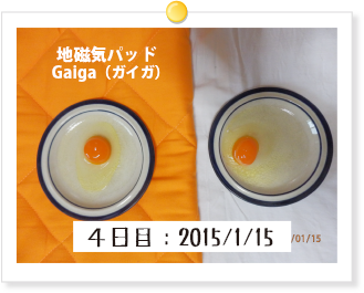 4日目:2015/1/15