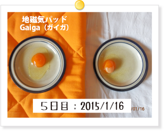 5日目:2015/1/16