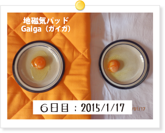 6日目:2015/1/17