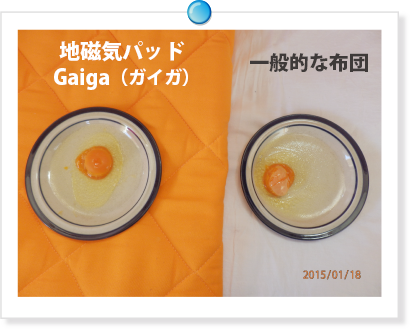 7日目:2015/1/18