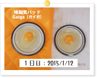 1日目:2015/1/12