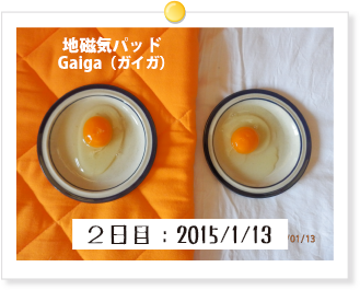 2日目:2015/1/13