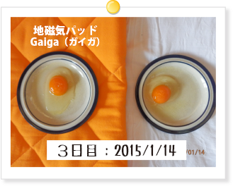 3日目:2015/1/14