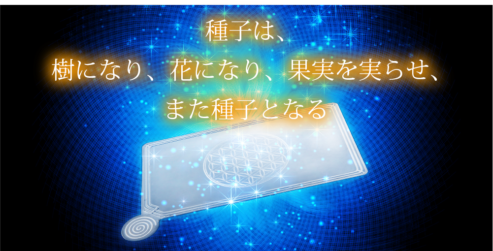 種子は、樹になり、花になり、果実を実らせ、また種子となる