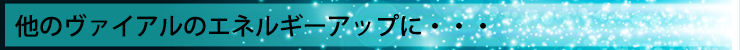 他のヴァイアルのエネルギーアップに・・・