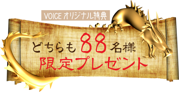 VOICEꥸʥŵۤɤ88̾͸ץ쥼