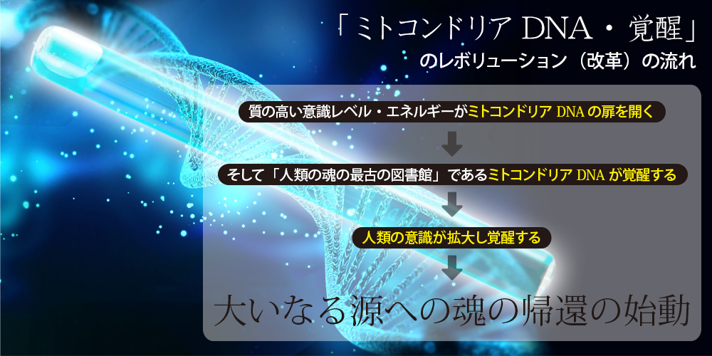 「ミトコンドリアDNA・覚醒」のレボリューション(改革)の流れ
