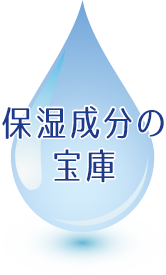 保湿成分の宝庫