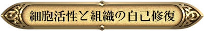 細胞活性と組織の自己修復