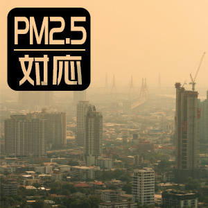 PM2.5б