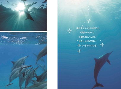 Voiceブック 自分らしく生きるためにタイトルはいらない