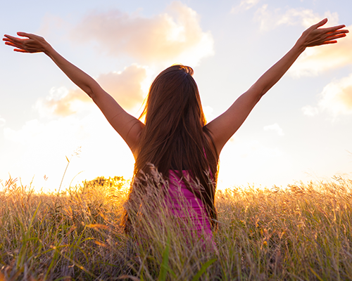 �ն��ι���